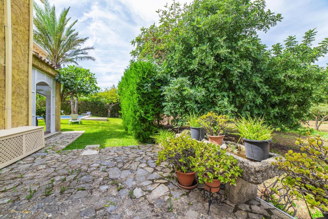 Villa Olivers Vera الكوذيا المظهر الخارجي الصورة