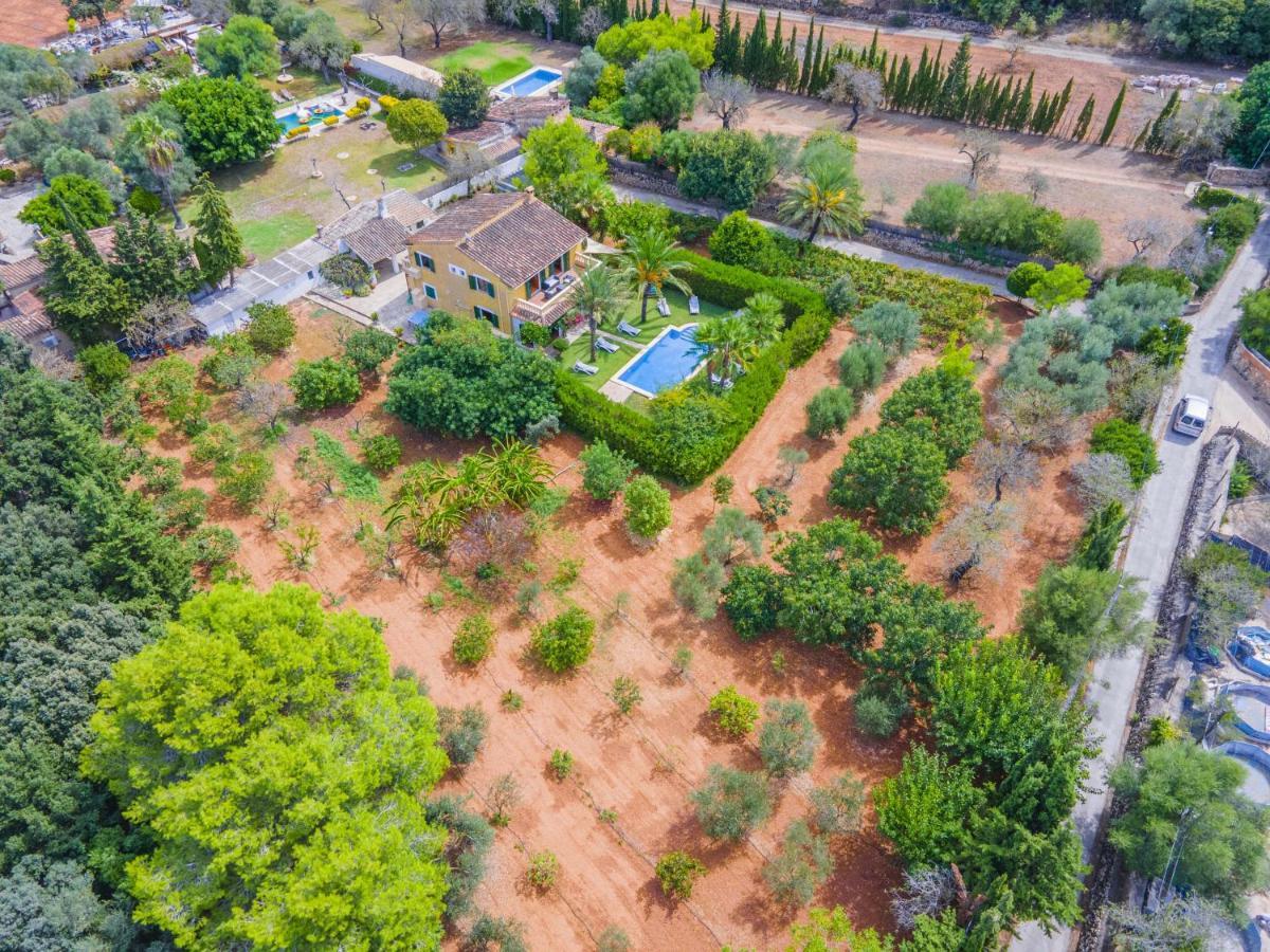 Villa Olivers Vera الكوذيا المظهر الخارجي الصورة
